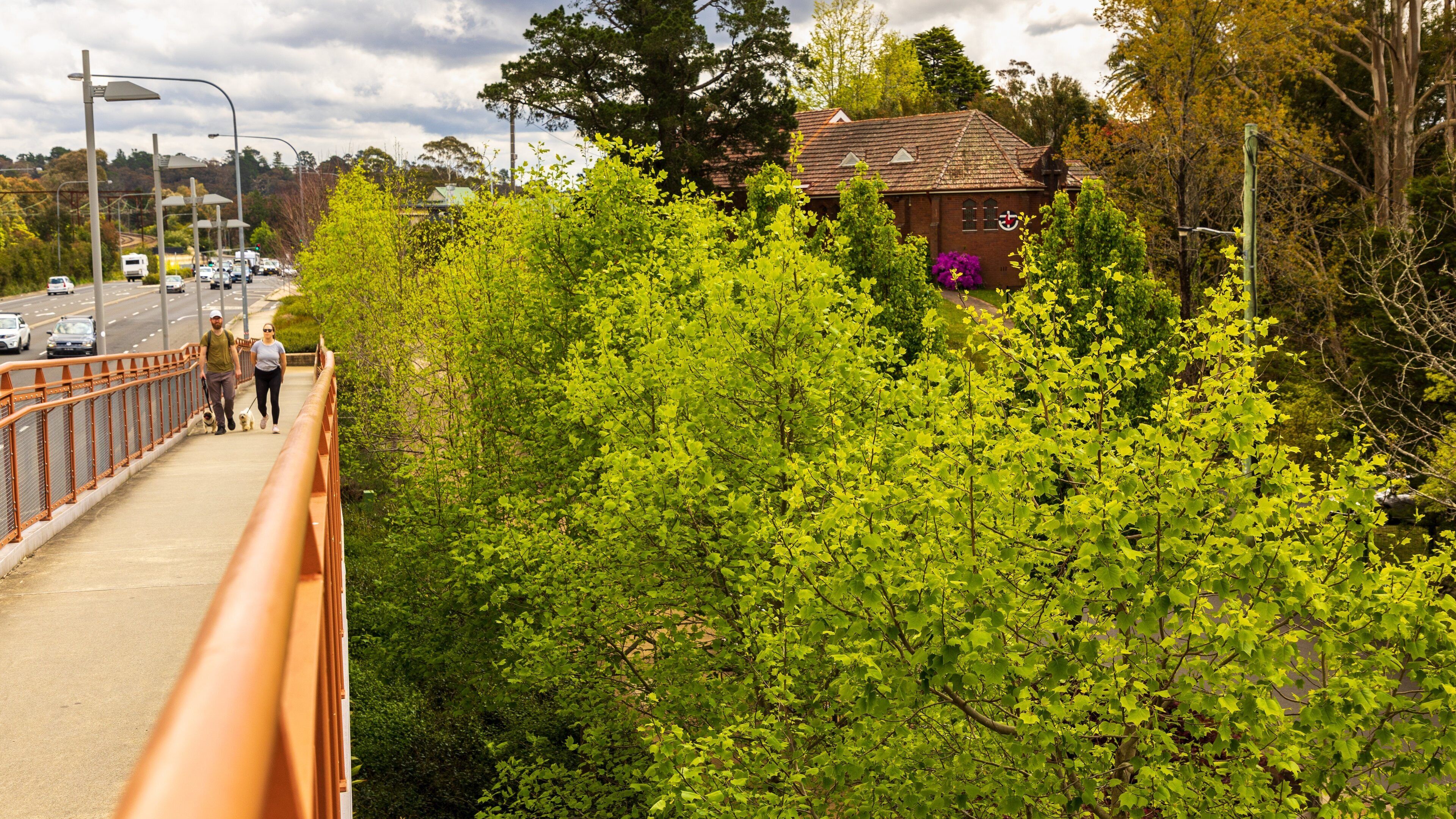 Hazelbrook which includes a small town or village as well as a couple