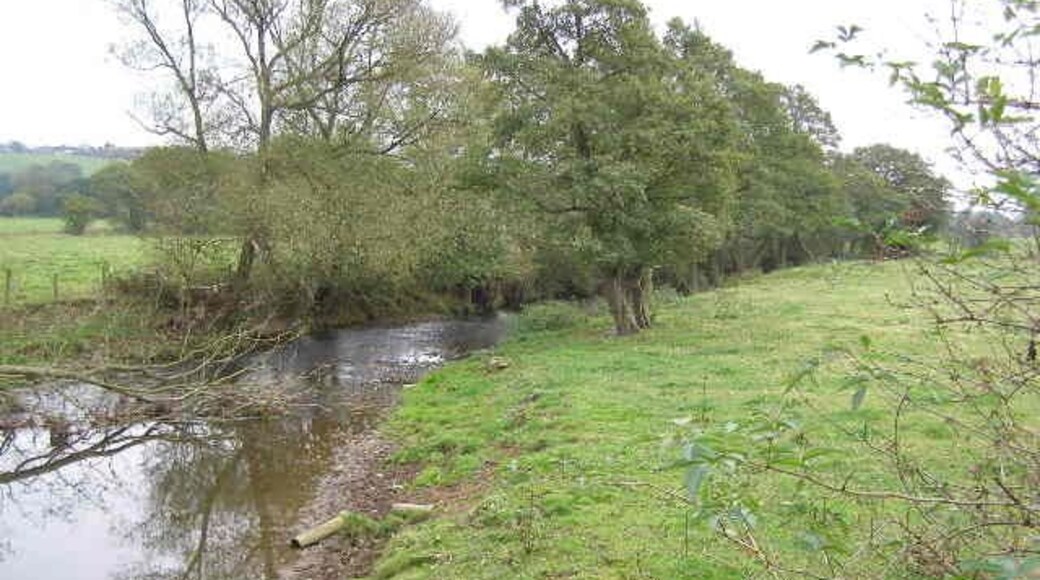 River Blithe scene This meandering mature river appears to be following the 110-115m contour, at least in this vicinity. This view is facing south along the river bank and the water level is not a lot different to the height of the fields.