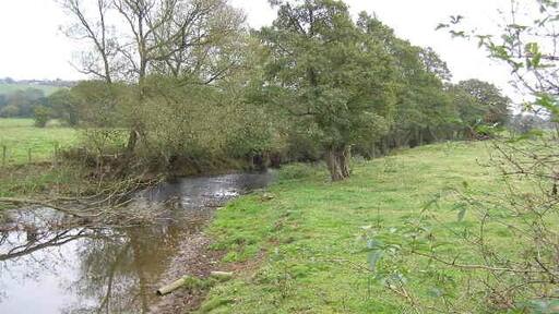 River Blithe scene This meandering mature river appears to be following the 110-115m contour, at least in this vicinity. This view is facing south along the river bank and the water level is not a lot different to the height of the fields.