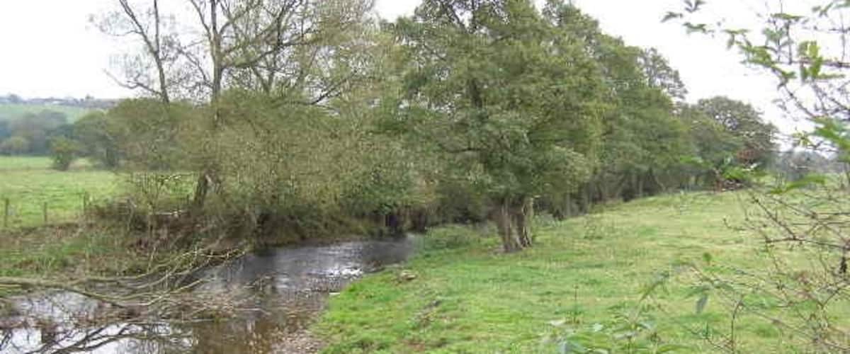 A narrow stream with trees and grassy banks.