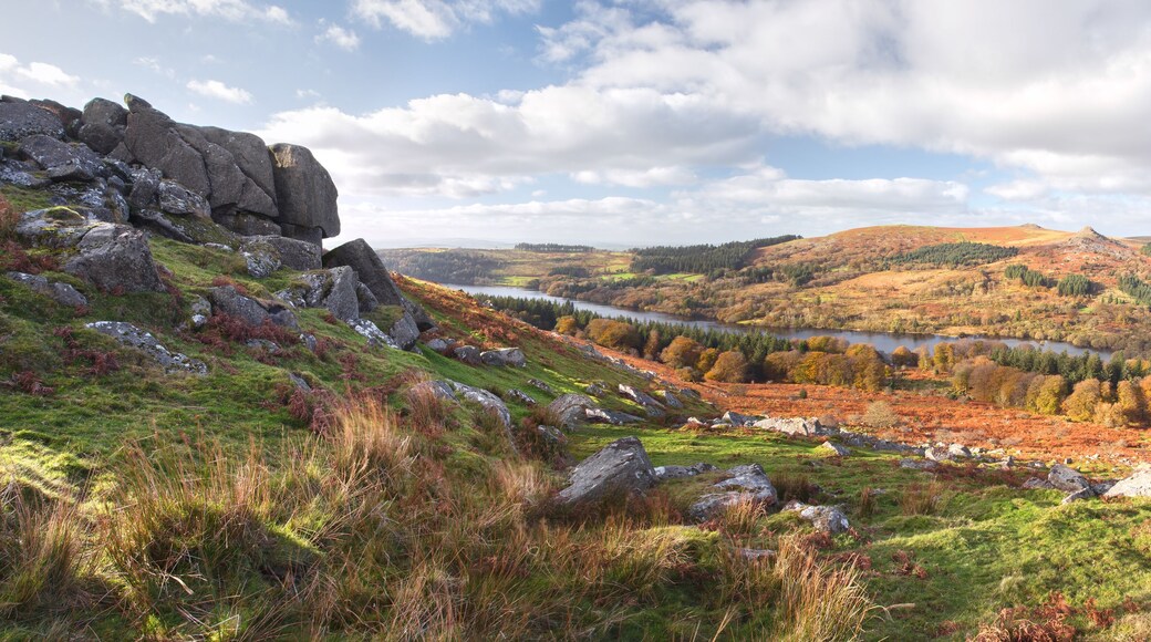 Panoramic view from Sheepstor over Burrator reservoir Dartmoor Devon uk