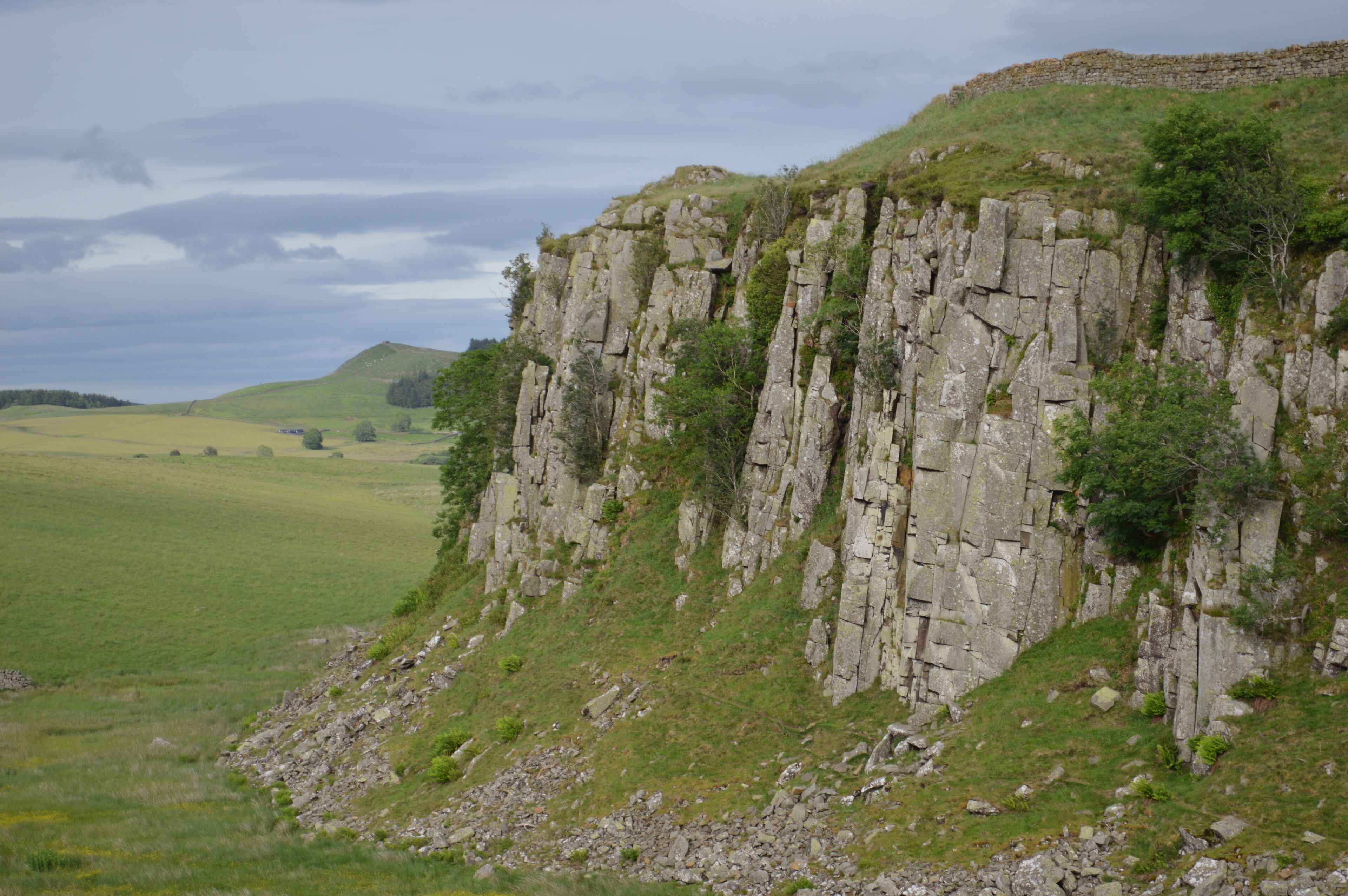 A rocky cliff with grass and trees.