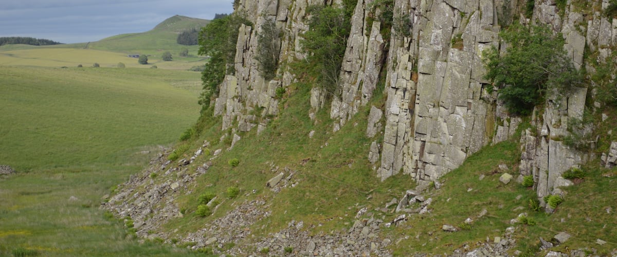 A rocky cliff with grass and trees.