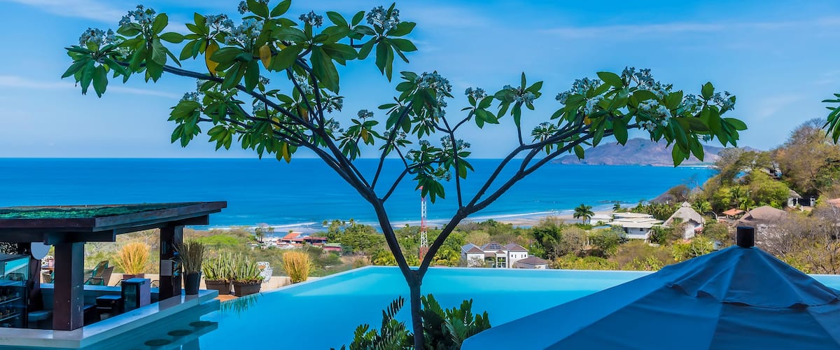 Cel blau clar, un arbre amb fulles verdes, una piscina i vista a l'oceà.