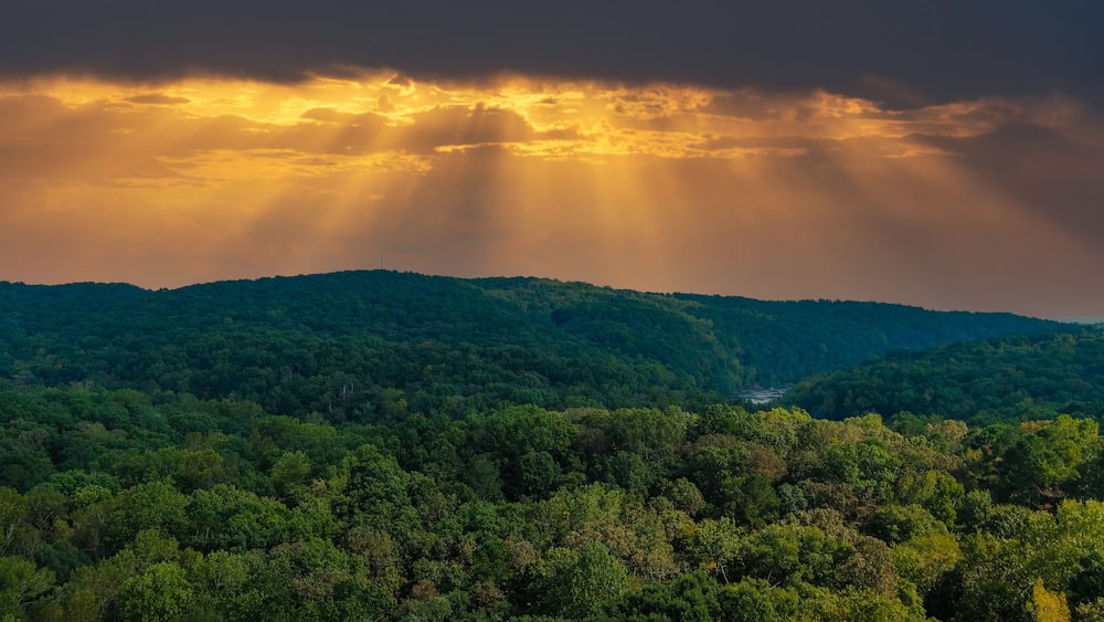 a majestic aerial shot of vast miles of lush green trees with the Chattahoochee river running through them with powerful clouds at Sweetwater Creek State Park in Lithia Springs Georgia