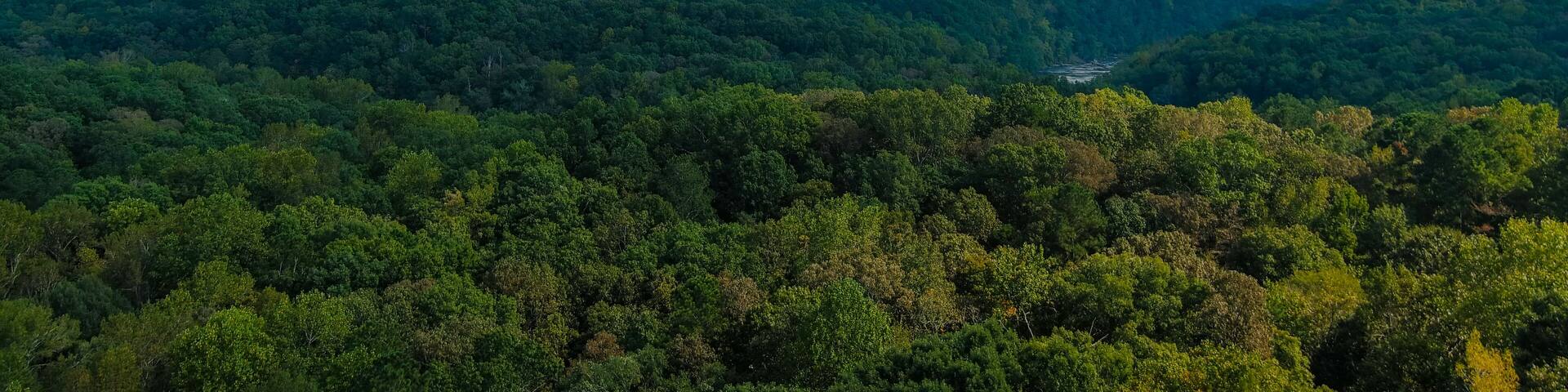 a majestic aerial shot of vast miles of lush green trees with the Chattahoochee river running through them with powerful clouds at Sweetwater Creek State Park in Lithia Springs Georgia