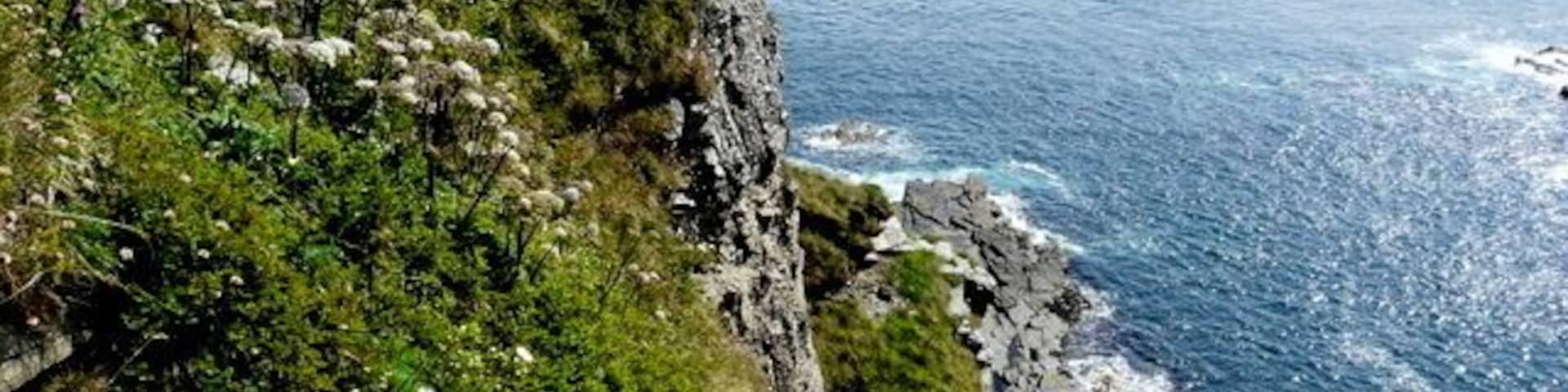Whaligoe Steps These 18th century stone steps (over 300 of them!) lead down to a tiny rocky harbour, once home to a small herring fishing fleet.
