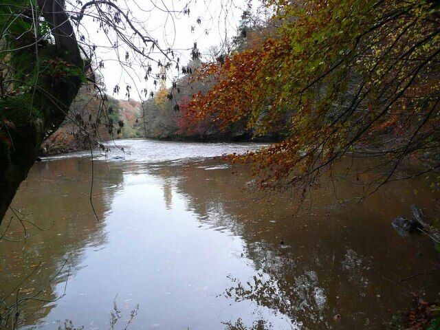 The River Ayr Way below Failford