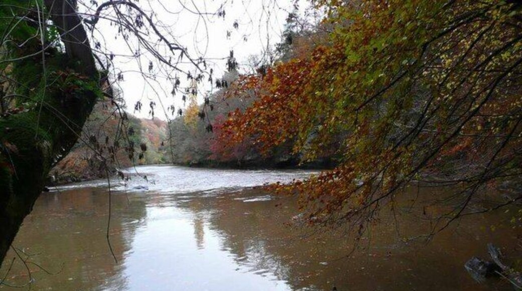 The River Ayr Way below Failford