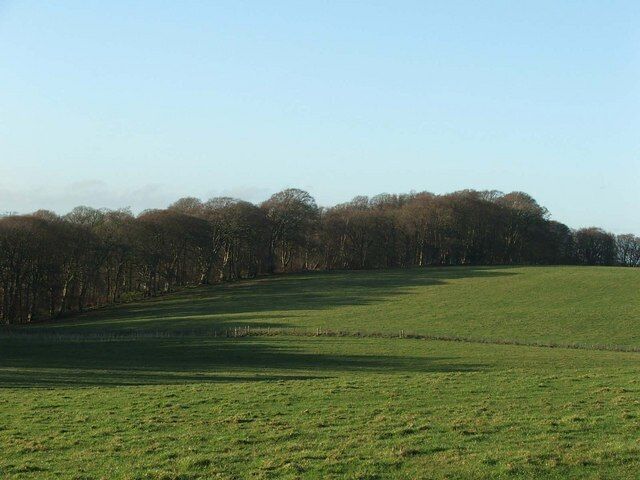 Stairaird Woodland. This woodland is designated a Site of Special Scientific Interest (SSSI) due to its importance as a semi natural, ancient Oak wood, and also to its invertebrate population, some of which is Nationally rare.