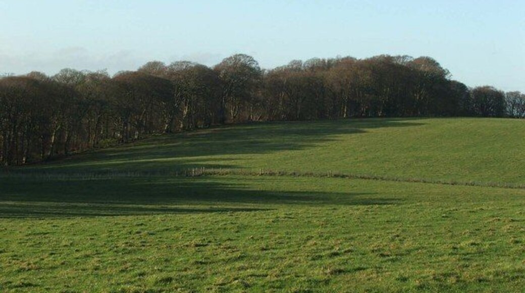 Stairaird Woodland. This woodland is designated a Site of Special Scientific Interest (SSSI) due to its importance as a semi natural, ancient Oak wood, and also to its invertebrate population, some of which is Nationally rare.