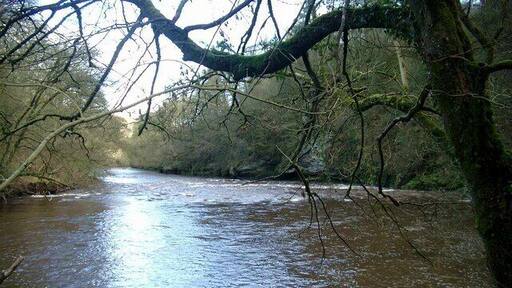 River Ayr below Failford