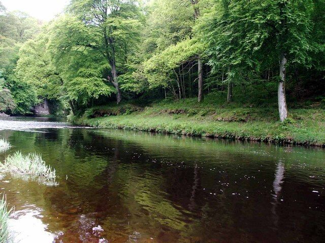 River Ayr Looking downstream from the Priest's Wheel pool.