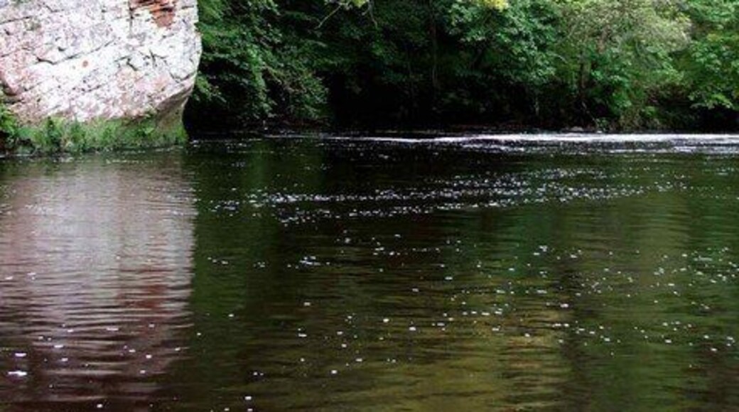 The Priest's Wheel. This is a well known pool on the River Ayr. The water is 21' (feet) deep just off the cliff.