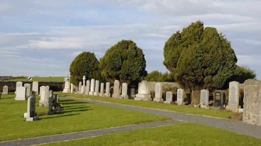 Cemetery with Yew Trees