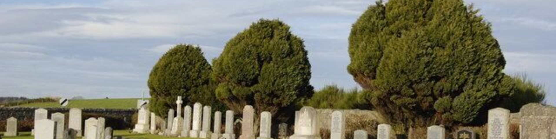 Cemetery with Yew Trees