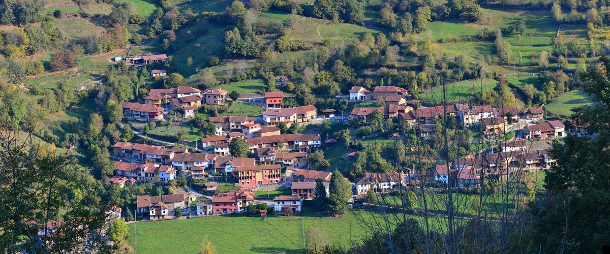 A village with red-roofed houses surrounded by green fields and trees.