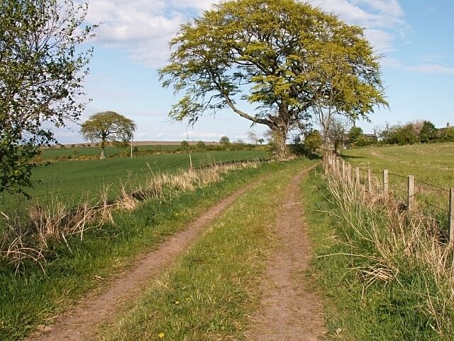 By Nydie Mains. Farm track by Nydie Mains.