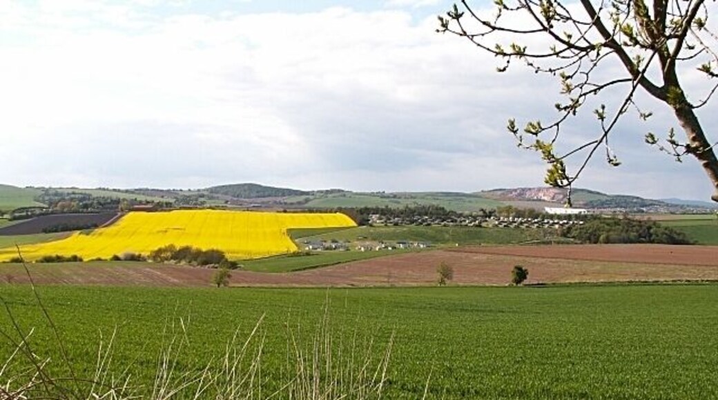 Across the Eden. Looking out across the square from near Nydie Mains to Clyton Caravan Park on the other bank of the Eden.