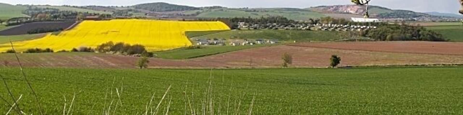 Across the Eden. Looking out across the square from near Nydie Mains to Clyton Caravan Park on the other bank of the Eden.