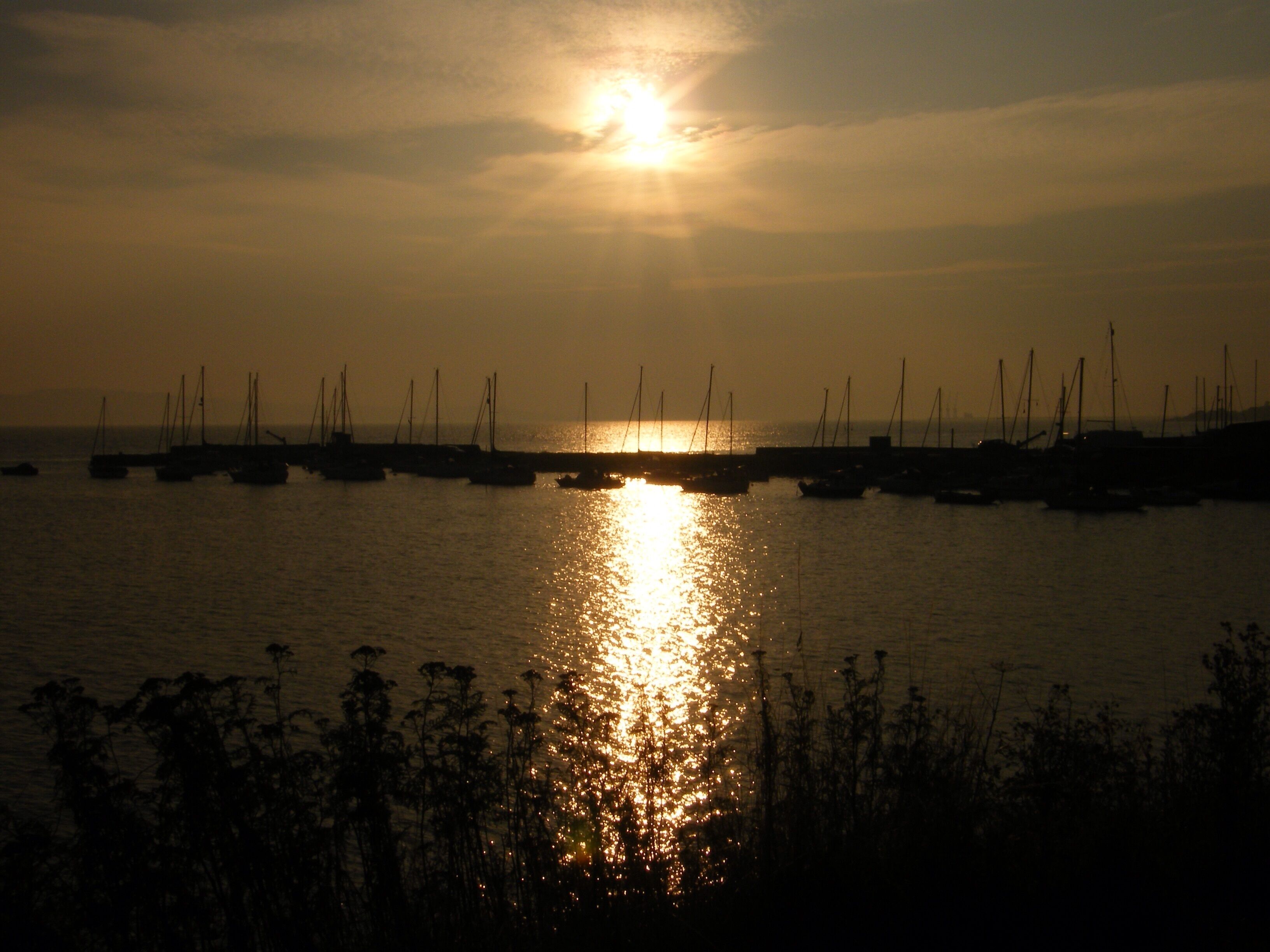 A sunset over a harbor with boats and a silhouette of vegetation.