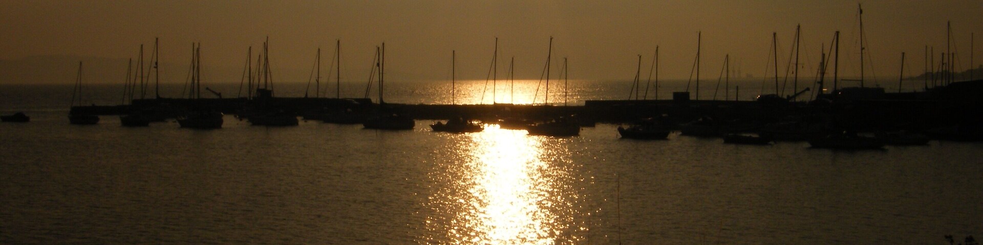 A sunset over a harbor with boats and a silhouette of vegetation.