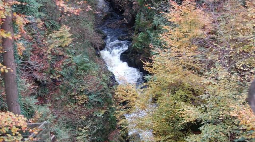 The River Devon The River Devon as it tumbles through Rumbling Bridge Gorge, this picture was taken from the bridge.
