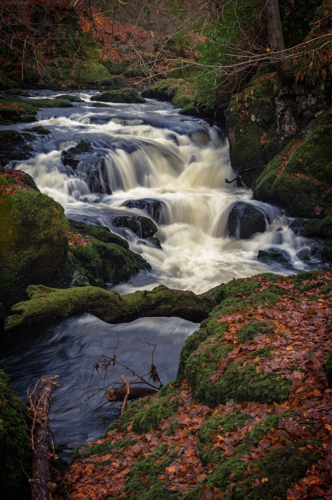 A fast-flowing river with moss-covered rocks and autumn leaves.