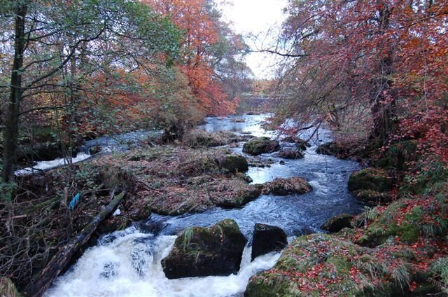The River Devon The River Devon as it enters Rumbling Bridge Gorge.