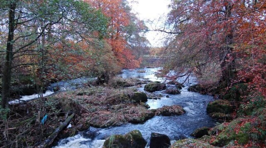 The River Devon The River Devon as it enters Rumbling Bridge Gorge.