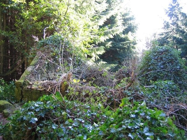 Ruined Cottage in Nant y Ffrith Woodland The remains of an ancient stone cottage alongside the footpath through Nant y Ffrith Woodland. Some of the invading trees have been cut back, but that seems to have had little effect. In time the ruin will probably be completely absorbed into the forest. See also 338174