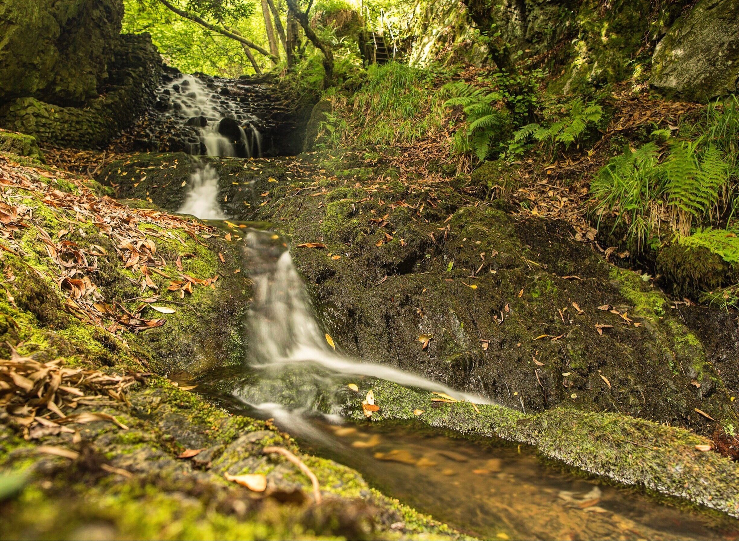 A steep and slippery slope down to this beautiful spot. Over the fence that warns of steep drops. 