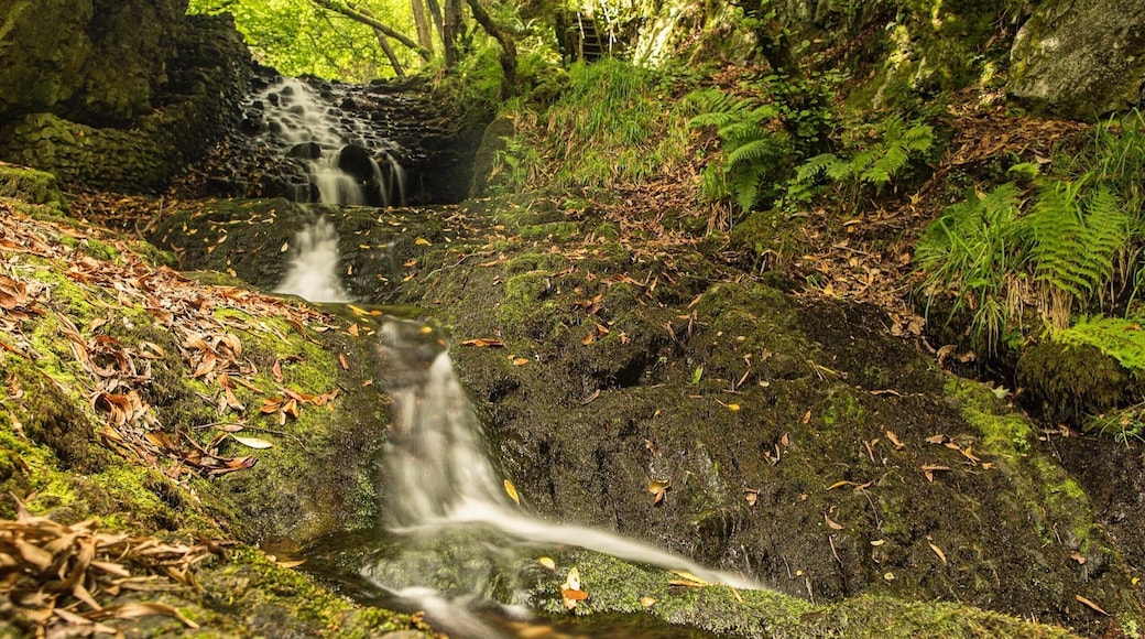 A steep and slippery slope down to this beautiful spot. Over the fence that warns of steep drops.