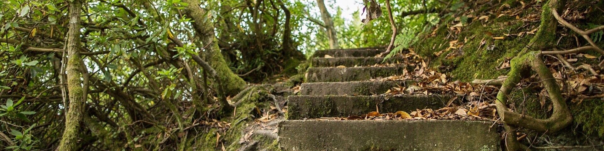 The remains of what used to be the old paths to Nant Y Ffrith waterfall and to the caves. There are many around the area which have just been left abandoned when the hall was knocked down.