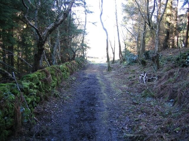 Stone Wall and Path This gloomy path through Nant y Ffrith Woodland is lined with a moss covered stone wall. The playground in the forest is just on the right out in the sunshine.