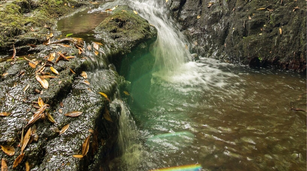 Lens flare, Nant Y Ffrith waterfall. Tranquil spot and peacefully perfect.