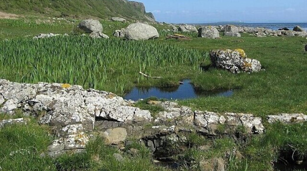 Raised beach on south coast of Arran Looking eastwards along the line of old sea-cliffs towards Bennan Head in the distance. Beside the rock pool in the foreground is one of the many clumps of irises to be found on this section of the Arran Coastal Way. In the distance, towards the right of the photo, the lighthouse on the island of Pladda is just visible.