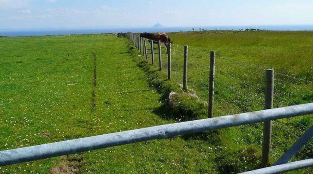 Fields above Bennan Head The volcanic cone of Ailsa Craig ("Paddy's Milestone") visible in the distance 22Km away.