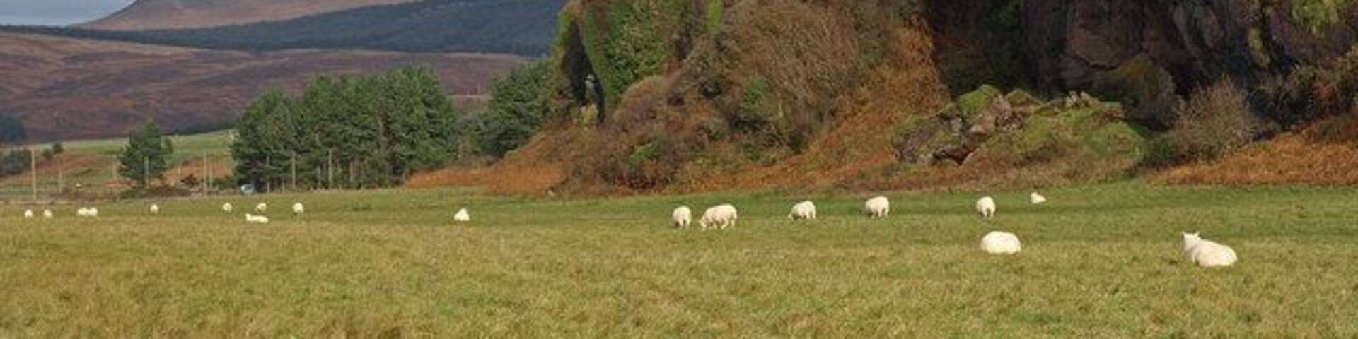 Beinn Bharrain The cliffs of Cnocan Cuallaich above the pasture.