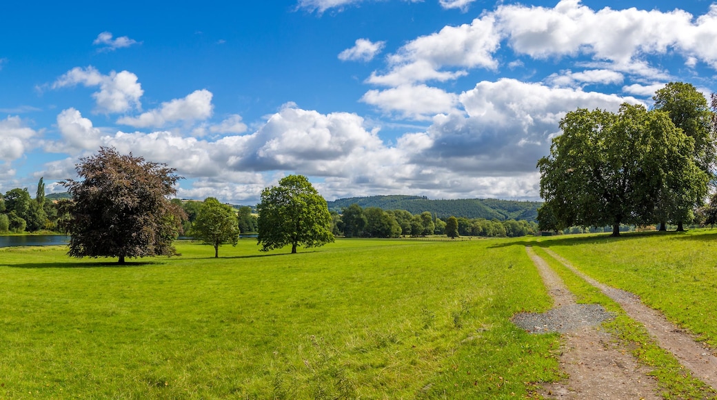A lush green field with a lake, trees, and a clear blue sky.
