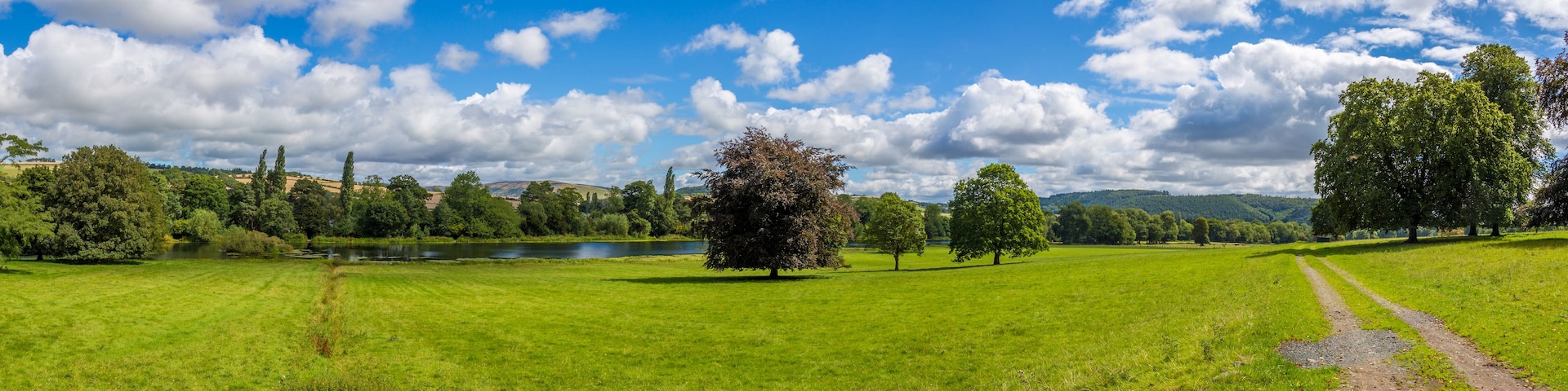 A lush green field with a lake, trees, and a clear blue sky.