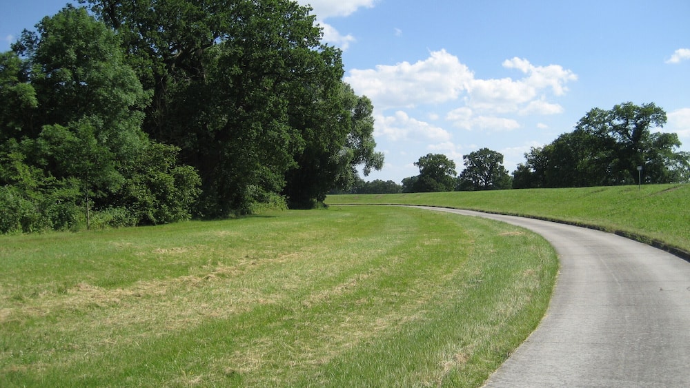A curving country road with lush green grass and trees on both sides.