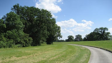 Blick auf das Gelände des ehem. Wasserschlosses Wehningen (li.) mit Radweg und Deich (re.)