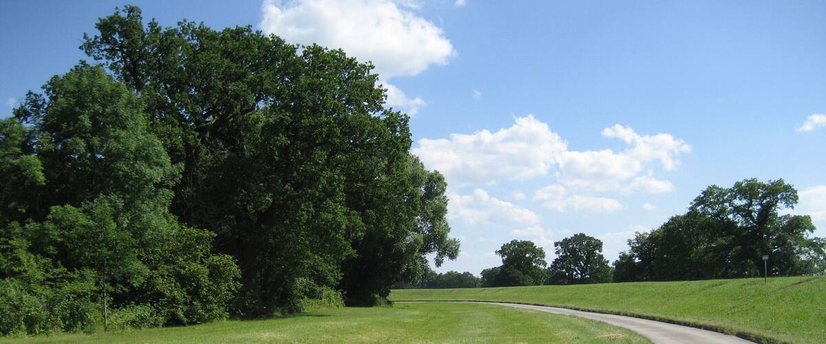A curving country road with lush green grass and trees on both sides.