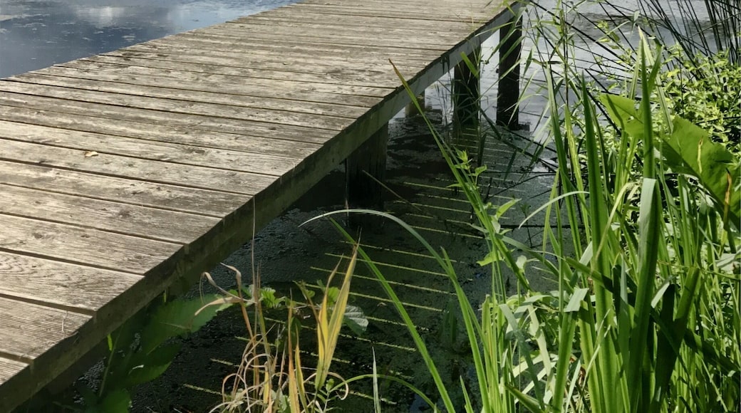 Zeetzer See - schön anzusehen.