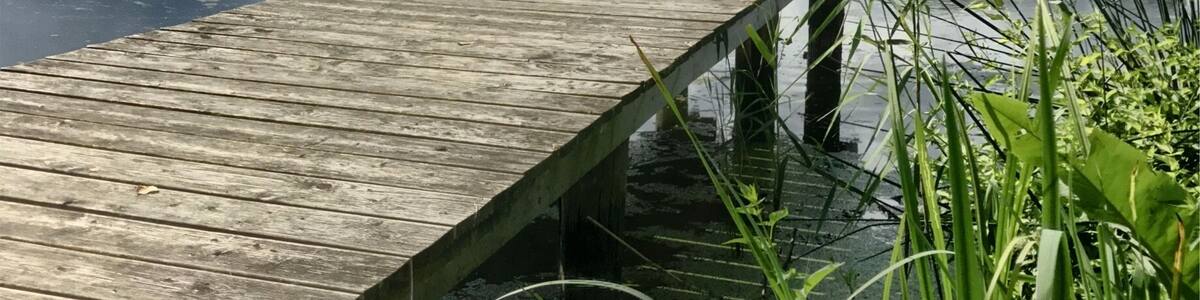 Zeetzer See - schön anzusehen.