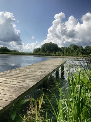 Zeetzer See - schön anzusehen.