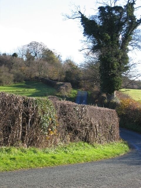 Country Lane near Bryn-yr-eithin Looking along Park Road from the entrance to Bryn-yr-eithin heading for the back of Alyn Waters Country Park, and Bradley.