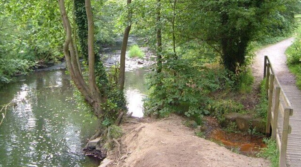 Afon Alun. The River Alyn in Alyn Waters Country Park / Parc Gwledig Dyfroedd Alun, close to Bradley Mill Bridge.