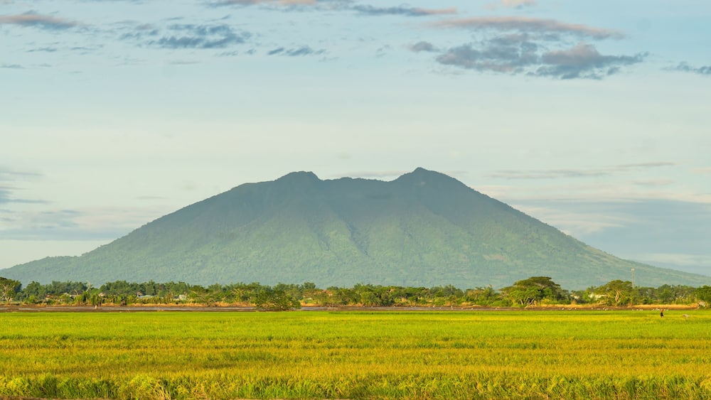 A mountain range with a foreground of green fields.
